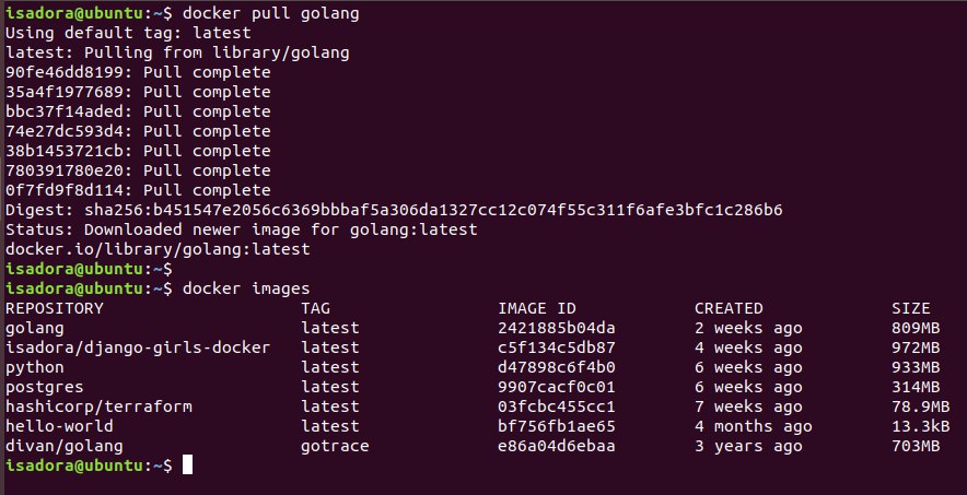 Pull golang