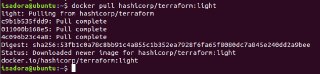 Saída do comando docker pull